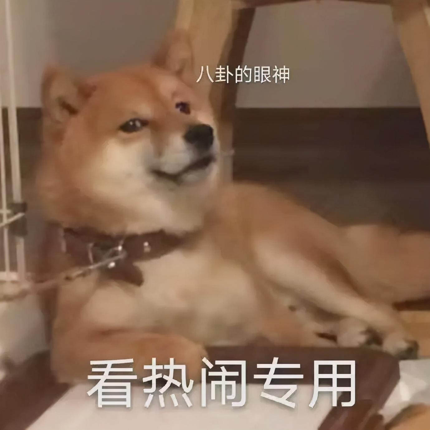 山东省大学排名一览表（山东各大学排名）