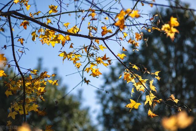 李括是皇帝吗，唐朝李括皇后（历史上失踪46年的睿真沈皇后）