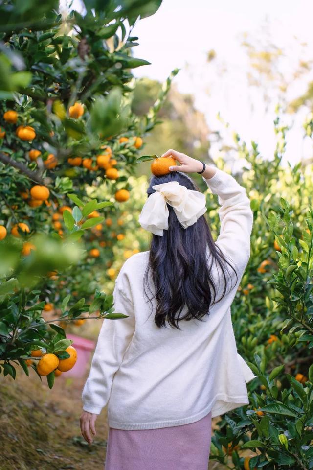 普陀山旅游攻略最新，普陀山旅游攻略2021（期待与你在普陀山朱家尖的邂逅~）