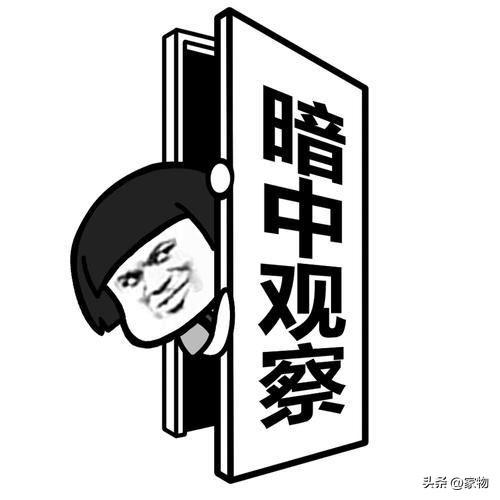 卫生间浴霸买哪种好，浴室内开始装风暖浴霸