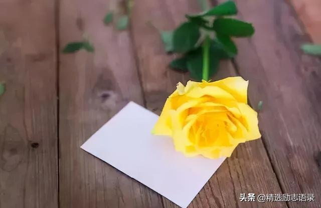 开心句子表达心情，开心句子表达心情简短（心情好，人不老）