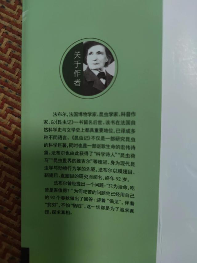 老象虫的外形特点，老象虫外表有何特点（一起读书——《昆虫记》）