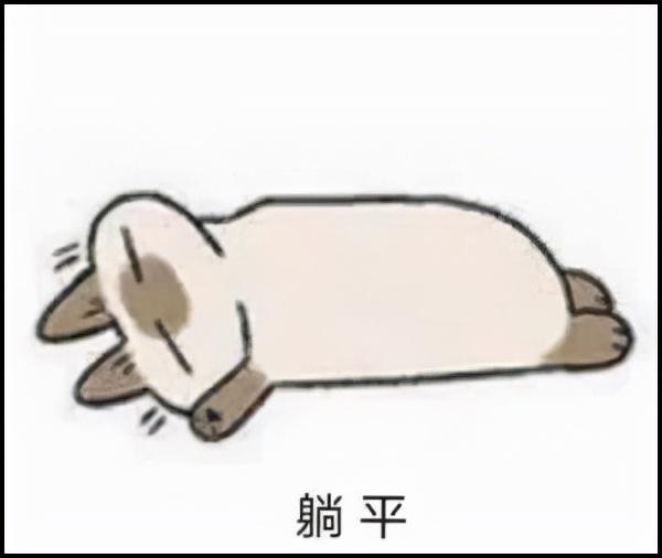 cf改名卡怎么用，穿越火线改名卡怎么用（变成了ID交易贩子的狂欢）