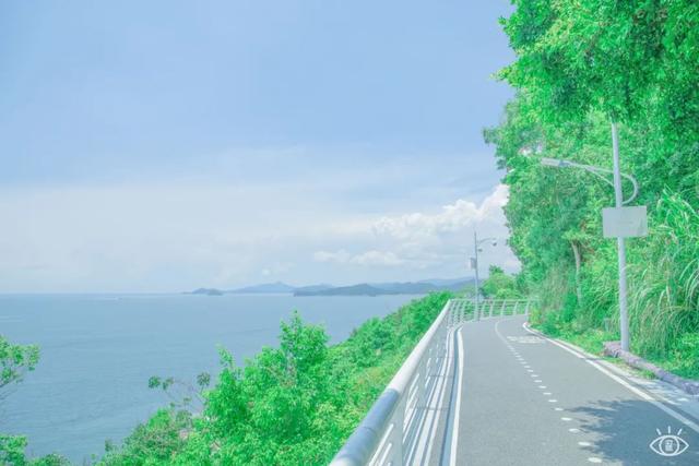 深圳有哪些好玩的地方，深圳有哪些好玩的地方及美食街（深圳这22条绿道，真的美）