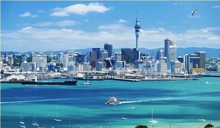 惠灵顿和澳大利亚的悉尼,还有墨尔本成为大洋洲南半球的文化中心.