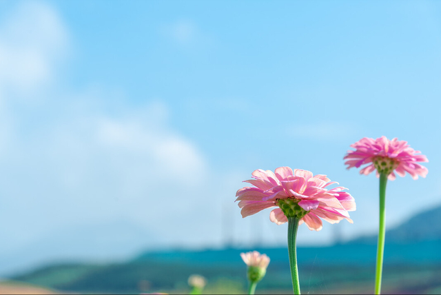 你是我一生的牵挂，唯一的爱你是我一生的牵挂（你是我，一生的牵挂）