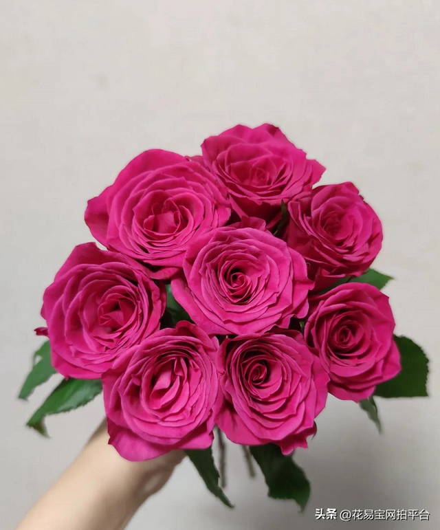 12种颜色的图片（2022秋冬十大流行色）