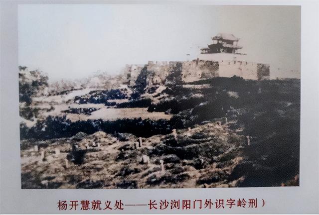 最后一枪剧情介绍，《最后一枪》（姚楚忠给杨开慧补上致命一枪）