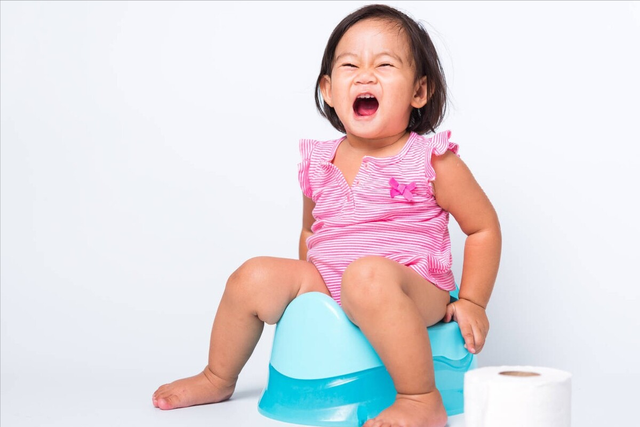 尿片怎么用，答案：没有，“等”就行了（宠物尿片怎么用）