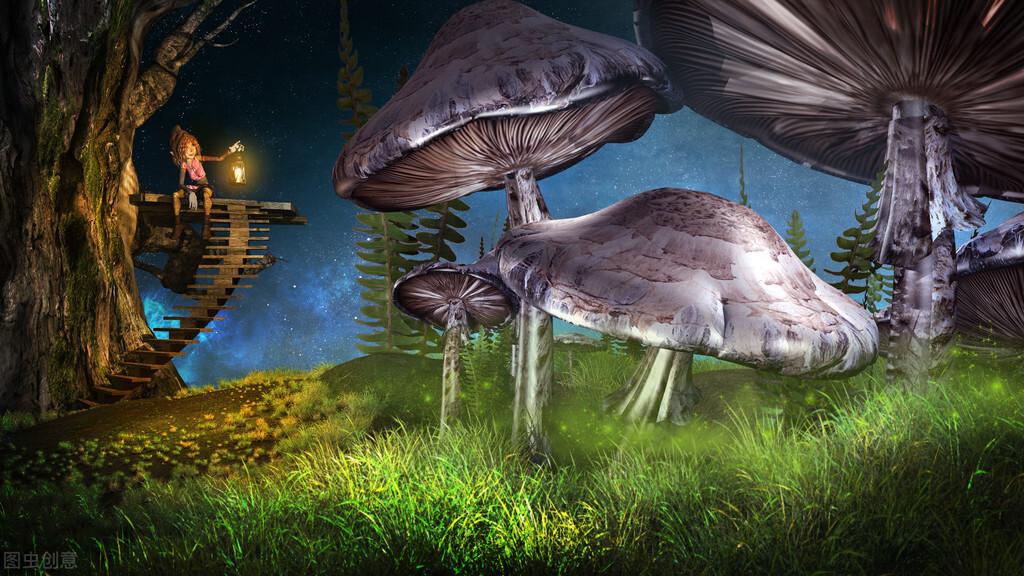 会计财务制度（财务管理制度）