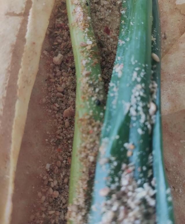 芝麻盐和什么搭配吃，芝麻盐可以和什么一起吃（重温儿时家乡的美味——芝麻盐）