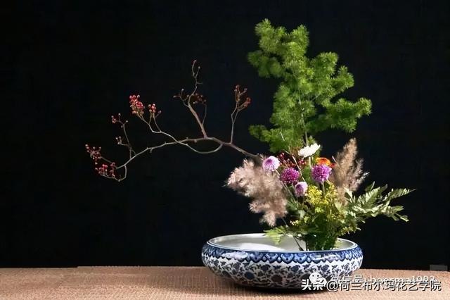 怎么挑选木本植物，怎么挑选木本植物盆景（木本花材的使用技巧和处理方法）