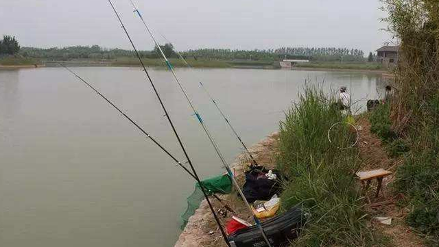 春钓鲫鱼绝密技巧，春钓鲫鱼切勿到了水边就开钓