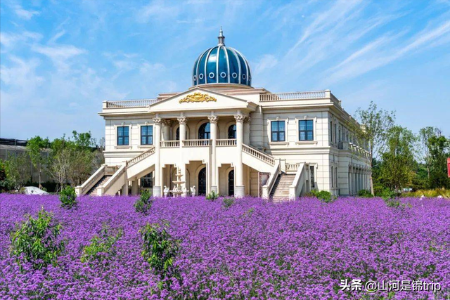亲子游去哪里玩比较好，暑期亲子游（国内最具特色的十大亲子农场推荐）