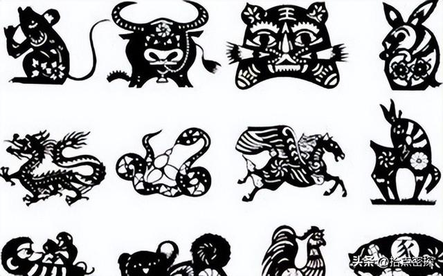 动物分为哪六大类，1000个动物名字（排列到底是按照什么顺序排列的）