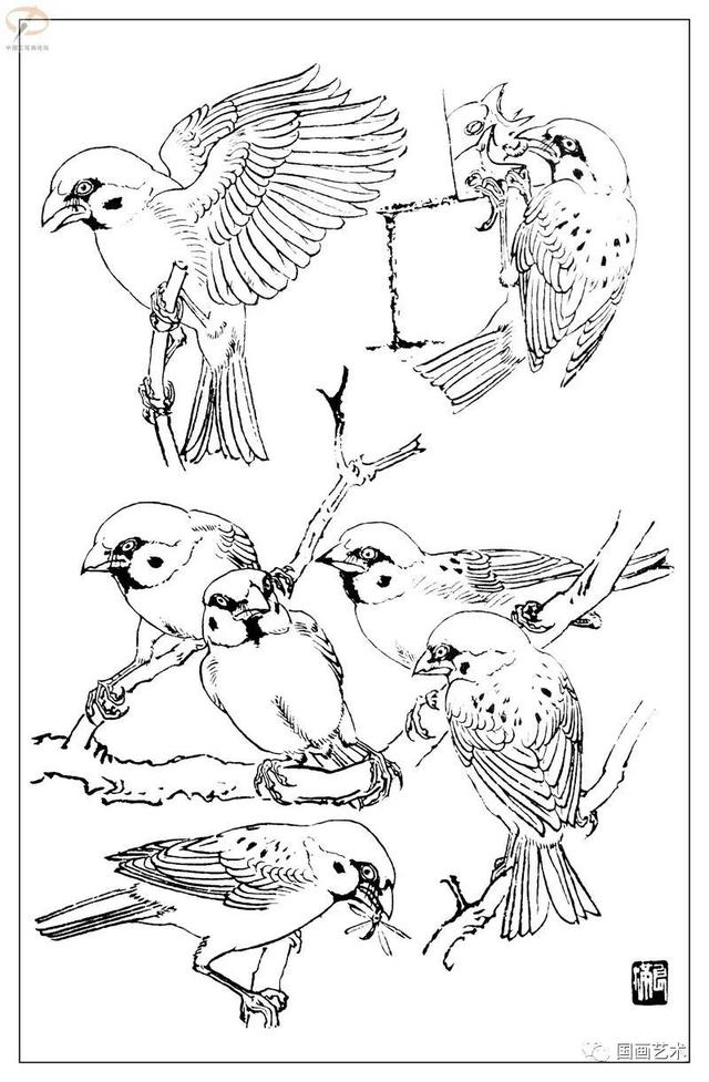 火的简笔画图片，火焰怎么画简笔画图片（画鸟参考——白描麻雀百图）