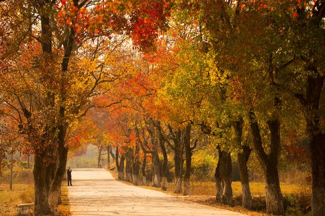男人只会尊重两种女人，男人只会尊重这两种类型的女人（更容易让男人上瘾）
