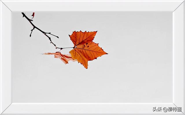 怎么拍照片好看，手机怎么拍照片好看（照片不能“瞎拍”）