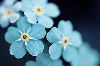 心机凤凰男的惯用伎俩,已婚男惯用这四大伎俩勾引未婚女(其娘家被榨干:凤凰男6大套路) 心机凤凰男的惯用伎俩,已婚男惯用这四大伎俩勾引未婚女(其娘家被榨干:凤凰男6大套路)