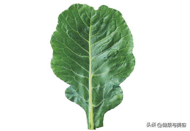 甘蓝菜的营养价值，甘蓝菜的营养价值（详解抗氧化蔬菜羽衣甘蓝）