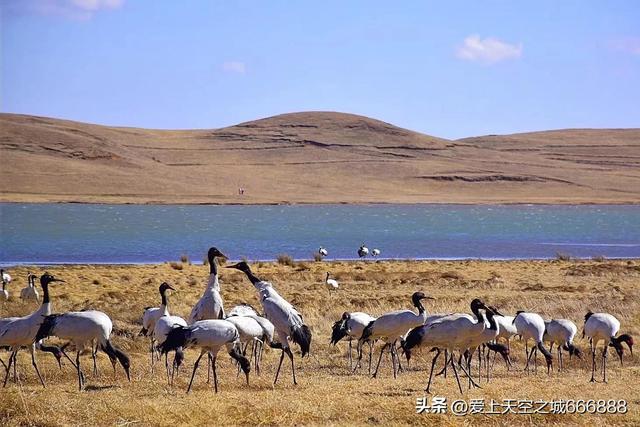 九月份的昭通大山包景观，云南的可可西里