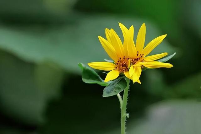 亲情指的是什么呢，亲情指的是什么呢英文（人到晚年才懂：什么是亲情）