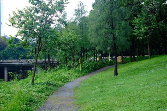 盘点深圳福田好玩的10大景点，看看你都去过了吗？