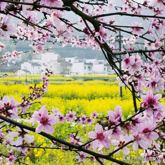 三月份有哪些季节，三月份有什么季节（中国农历月份雅称—三月“桃月”）