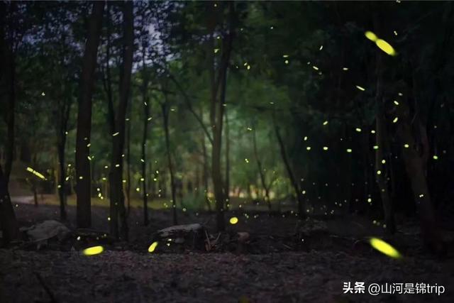 亲子游去哪里玩比较好，暑期亲子游（国内最具特色的十大亲子农场推荐）