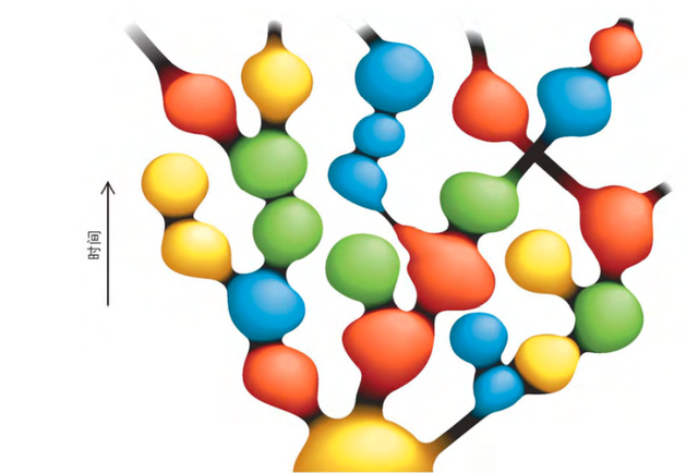 宇宙有多大，吞噬星空原始宇宙有多大（宇宙可能不存在边界也并非唯一）