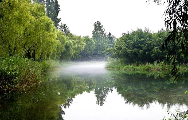 泉林(濟寧泗水縣泉林泉群自然風景區) - 悅聞天下