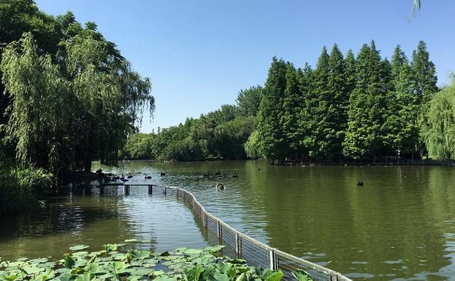 如今的扬州著名的景点是，去过九处才算玩转扬州