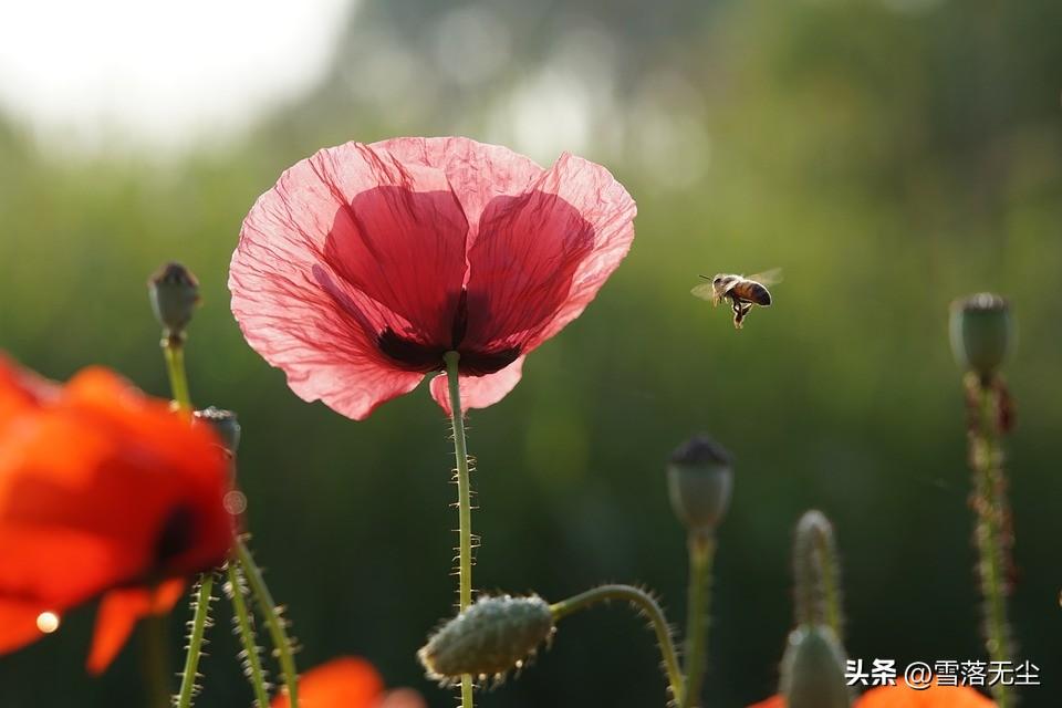 我用时间证明了我爱你（就算嘴上没说）