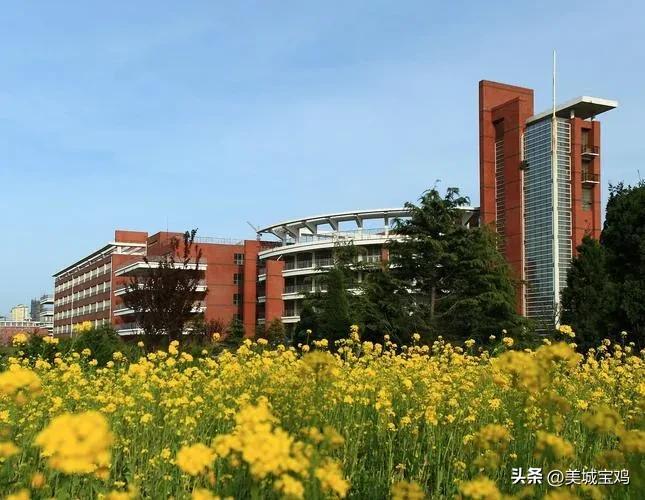 清华大学世界排名（2022世界大学学术排名100强）