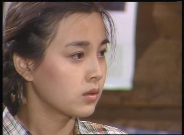 宋丹丹演的电视剧,宋丹丹演的电视剧做美容的是哪部(《我爱我家》29年