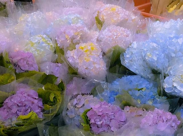 水瓶座是什么性格的人，水瓶座的人是什么性格的人（往往很少有人进来）