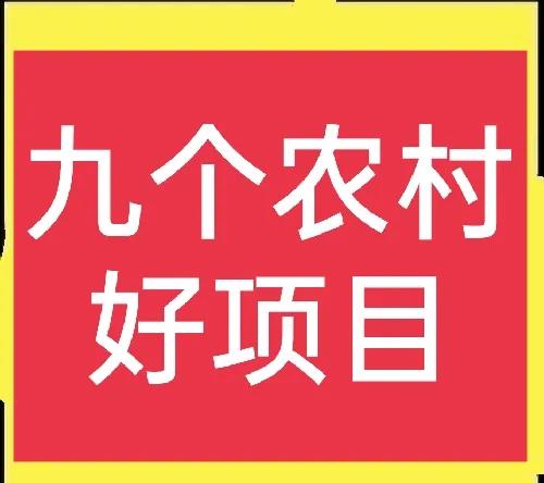 9个不需要门面的生意推荐（农村乡镇好项目有哪些）