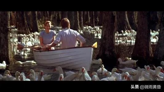 恋恋笔记本剧情，恋恋笔记本 剧情（看了感觉荡气回肠的纯爱电影——《恋恋笔记本》）