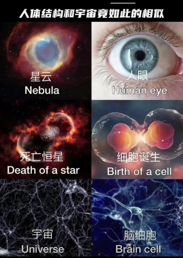 奇数偶数是什么意思，偶数是什么意思（小学生都能读懂的巧辨质数）
