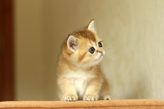 最近一些搞笑的梗，20句神反转搞笑朋友圈文案哈哈哈哈哈哈笑到头掉