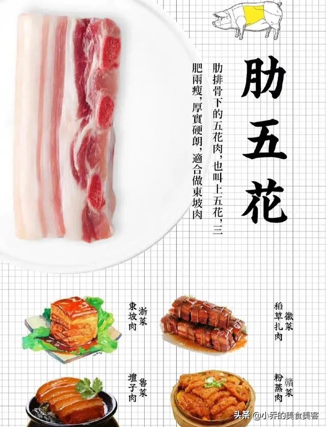猪排是哪个部位，猪排在哪个部位（从此再也不怕去菜市场买猪肉）