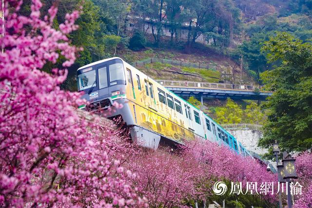轻轨2号线全线站点线路图，新风貌丨打卡重庆轨道交通“最美车站”②单轨2号线