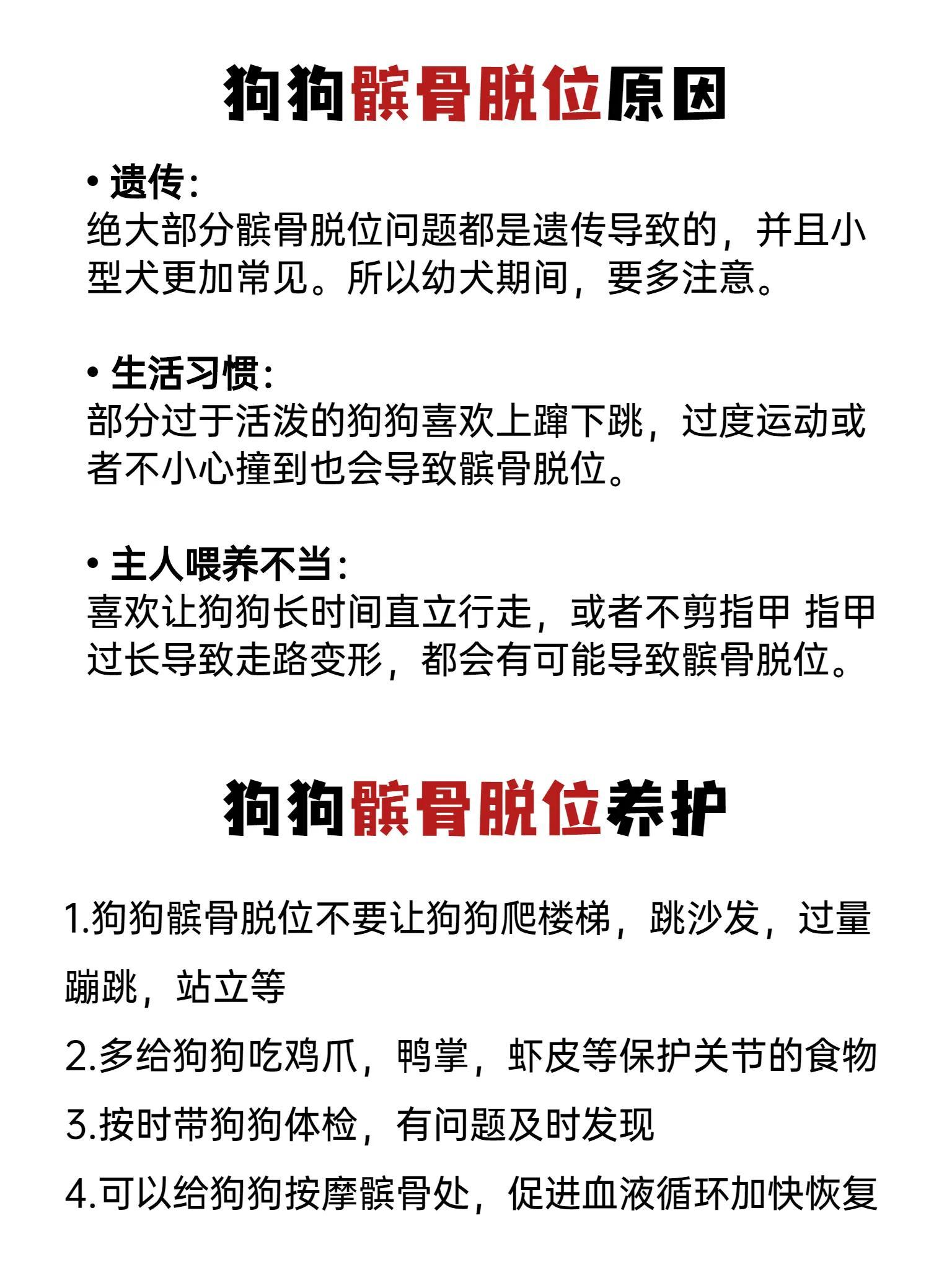 狗眼下骨头鼓起来了怎么办：预防与治疗（如何避免狗狗眼下骨头凸起及相应的治疗方法）