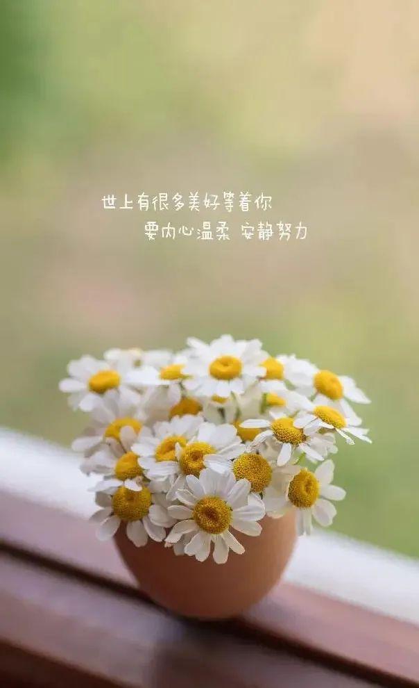 每日正能量句子，每日一句正能量励志句子（早安心语，正能量说说经典句子）