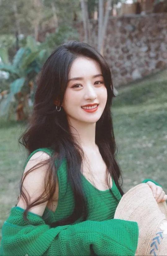 赵丽颖冯绍峰为什么离婚，赵丽颖和冯绍峰为什么离的婚（冯绍峰与赵丽颖的差距惊人）