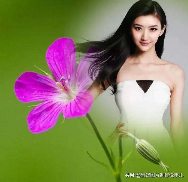 莺歌燕舞是什么季节，柳绿花红莺歌燕舞是什么季节（百花争艳的季节）