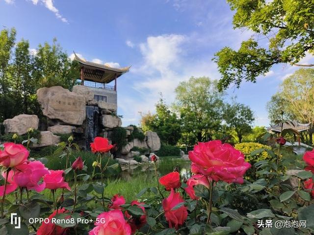 oppo研发的马里亚纳芯片拍照效果，X加持画质更出色