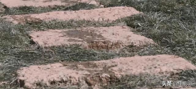 18x小说，现代18x小说推荐（看完这些烂剧，我真瞎了）