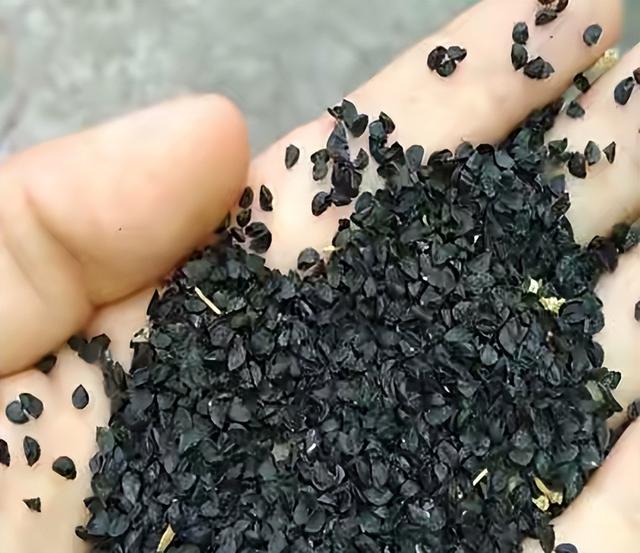 种植小葱技巧，用3个简单的小方法