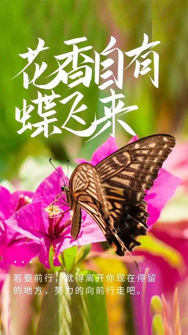 03年属什么生肖，03年属什么（2023年04月03日）